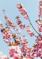 2019-06-05/7c5de0abfe52fd6d4a7c7bfcac771def_c17f99f7a7056c561a827a09a7648558