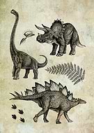 2019-06-06/3aa65816f5f441b393fb265fec6f8cad_2874ea78c5d3b289f9a0de990a9fc916