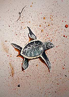 2019-06-07/011cbdb83efd236d0ee313ad677f5a75_de2f736641444e44e167a622d33e59c2