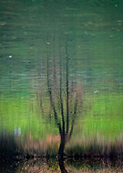 2019-06-07/0743d92382c02b2a7760bd892fed1b51_db8c71b456a1a515228d7dc62b0af713