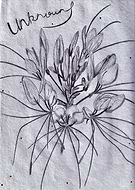 2019-06-07/a094453b7ac27a9643be3f14994cca3a_fb351e4b6a296cedc21695f2b4f16d30