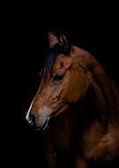 2019-06-08/1a72b128dde4cda9f98c0290a486ddb7_d67cba5ca0e10b3be7f65e1270d9d634