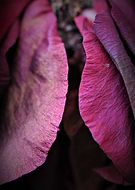 2019-06-09/31c2e756554a024f4886dc214f74e835_7e005c8bea438e398c841cf270398162