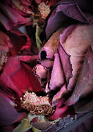 2019-06-09/6c0c0e704203f00dffb2083e4c66d2b5_82411755328531608a7e438c17de62a3