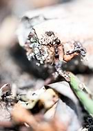 2019-06-09/c510e8e32e0e47e0591e1e2c77457950_fff855e1dfbff67c1db2e8f515c8c57e