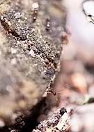 2019-06-09/de06416ce73097ed6c3404387e94fe0c_a97905b1b39ac876ddca1fde154ba017