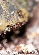 2019-06-09/e86754bbd5b05debc940bfc564102f71_84153bf9fffd844a52eaf133bf9d8164