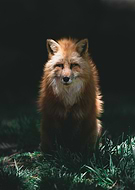 2019-06-10/731a981b4462e780653b4bc9befde7ed_5919be3062dac698e7c99ce91c7ebe58