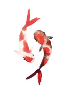 2019-06-11/1f5db6802b805b30f1fa8df4adcdcd11_fdcf5206c57f7193c1f35836b7e2bf66