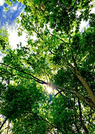 2019-06-11/606320fe5584d485c99bf7279148b3d9_0f2c08c83135ff53fc5f3afa4ea2afb1