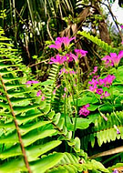 2019-06-11/752d60cc68b9824abd941111a31eab4b_89ac9e865e99524b60e57656f581dd7a