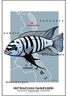 2019-06-11/93849444eef60f211127d6a4cccaf68c_40dd6189b64c25e07c286336d3f1d1e2