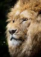 2019-06-13/a94d40dd885664756e804cb77e1be660_e542bb888557fe3962d705eea59b2592