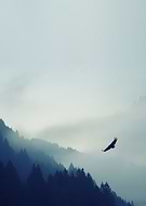 2019-06-16/3c71f43beb92a6ca9666e9aaabfa76c9_0ea42fe0a889a4950af86afc64eef01c