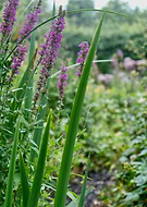 2019-06-18/262212831aa9612d659559af1e1a8907_f303c516f046ecece601a27e634eaf3e