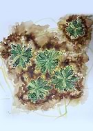 2019-06-18/34c8cb32b8440ab0add280106ef51196_4f83ac38f5d7fa5ea6227757c077ab70