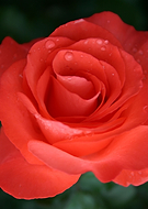 2019-06-18/e4b604ea7decc312db56efc67fd71009_74e0cc336b0e442afa32a74d97ce5f9d