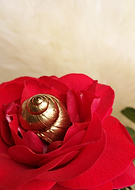 2019-06-20/64147a2aa5fb4b7ccbd6114f2bd85adc_e9f6d2ab1b7f6a7f2e7c8dbebb3f7561