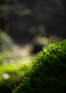 2019-06-21/120d52d276b49f582a5ac529bfa73bb6_c2d2e4e560e02d8e2669eb8bd5a588d1