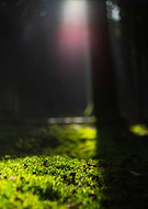 2019-06-21/935e0a78d6f6a3eba5e929deb6f99912_5a83028a7aeeb2254f26823d401b3bbf