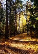 2019-06-22/3de27fc115b20ac94f2f09e4ea969441_0ff75bc4a6e2bb9c852a966ec07d2115