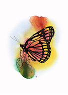 2019-06-23/09d0eadfd997de039adce197fbf46c4d_79b0e2725c0b842ef63cf4828057bcf6