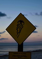 2019-06-23/46c5971d0479005fd8a03c489ade54a6_913b5c0af1eec22b7c58fac08b3a058b