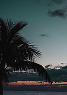 2019-06-23/921af427c82101303be981687988de35_d270b011e9895a1e0cc3752f5c146050