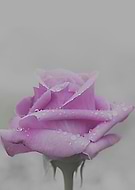 2019-06-23/fa48152d613e496435fd2cab0c8f48f5_f313622dcc3bad6f2b876e9bc83a8d50