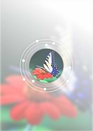 2019-06-25/3459aa7049ccb3adbd64accdc6860b23_4c6be24c8ef0501a85ed7f9176fde053