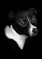 2019-06-27/0f9d2a055ac9c332abd981e345a59c95_89de129b8c3b4c7917c3633de16f2346