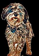 2019-06-27/3e5464b8eeb89579d64c59ab0c4bd544_c682c4dd8c5122cf0ddca1dd1d639e37