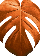 2019-06-27/6bebf46a7f426bb8669a775961ce076a_3c4eb7b99b8eaa5860734ddd6f4e5cc9