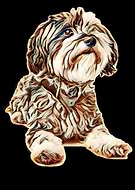 2019-06-27/886c9ba3f577361316434fa079b53b1d_1c19d2caffbd49d528214d53bdf39f64