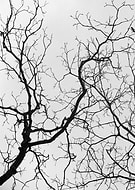 2019-06-27/904719d01cc817921ce001f4dcd3753e_50c33d7dc33a6c3f2e8aa32bff3ae10c