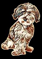 2019-06-27/bac929bbb873aac1b4477d088f045e7c_b3caa912ee78a1af4ce0d9f6ad2bb17f