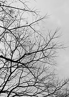 2019-06-27/cbf57b45a8b87abe26bc1e30d285f51b_98dbebae7d55d98f7cfec8cc58533fb6