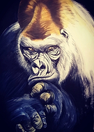 2019-06-28/86bace510e322ff3d1f5f6927ec89cf6_f3f482f73b6490b9be76a47aece632a9