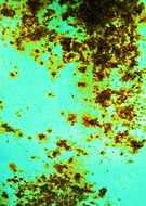 2019-06-30/226c9aa5a5ae3a6fa1e915be074a0cb0_88da34f8cbedfe1f68ca552c3a6f3b94