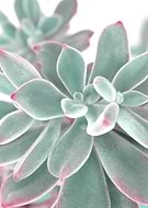 2019-06-30/528fe08f79089d190a852511409e443b_41e26799f64deb1cb859a9c4d892309a