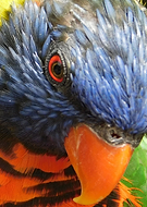 2019-07-01/e3e383baa46e327b728eee33b70db347_514eb5e3795ddcae1620b9f72e372544