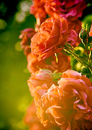 2019-07-02/627cd09e3a5d9cbb3302ab344c73e14d_409a644e166a484a62eac517d0f63e31