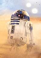 collection-preview-0