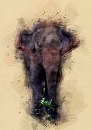 2019-07-04/5433c5b466e425a4400c95147de8262b_76ef51b09e613f154e894286565b41db