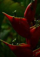 2019-07-04/90e41e398bf19edc562af10eb9e8f90f_11797941d54dfb2573c988145e843b15