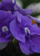 2019-07-04/f52ecc5f6f71d04d20b989b309391e6f_b6c568a50e615cac7b359075648133cf