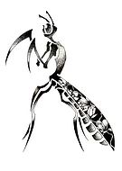 2019-07-05/5db087585e079110688f189e99fe2a8e_35d718e1c05f6f5b8b71f1ebc30603ac