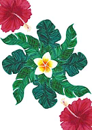 2019-07-07/8c05ca58edd50eb766a8d3e78c2eb4b6_331e19dd7ecb95a75d677a3eb75feb7f