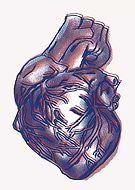 2019-07-08/110f9b5e04b5737606366118aa0365c5_31ed988f1a621a9bd20f75df84b581e3