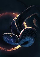 2019-07-08/99f91003c382e56e26eeb2c1ec90c448_af6cbcb337a8d4649faa086e3e0dc7a2